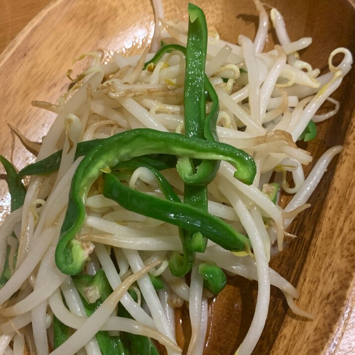 もやしとピーマンのオイスターソース炒め レシピ 作り方 By 小さいバジル 楽天レシピ もやしとピーマンのオイスターソース炒め レシピ 作り方 By 小さいバジル 楽天レシピ